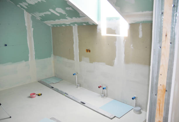 Best Attic Mold Removal  in Granvle, IL