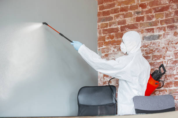Best Forensic Mold Investigation  in Granvle, IL