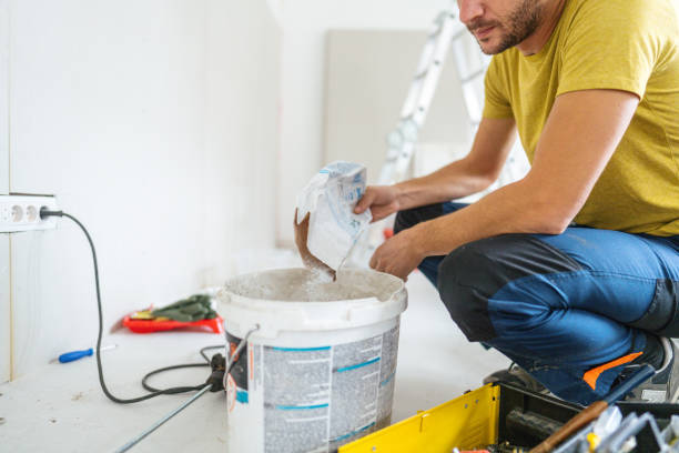Best Basement Mold Removal  in Granvle, IL