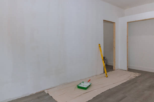 Best Black Mold Removal  in Granvle, IL