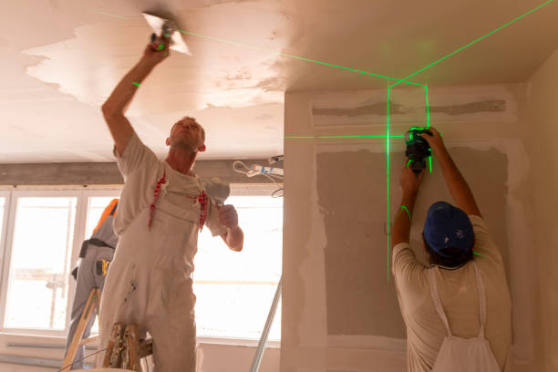 Best Post-Construction Mold Inspection  in Granvle, IL