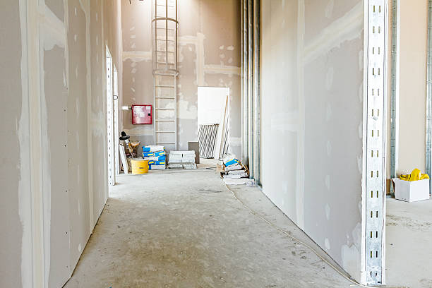 Best Mold Removal for HVAC Installations  in Granvle, IL